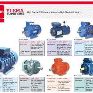 Motor Yuema